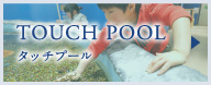 TOUCH POOL