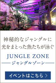 神秘的なジャングルに光をまとった魚たちが泳ぐ JUNGLE ZONE -ジャングルゾーン-