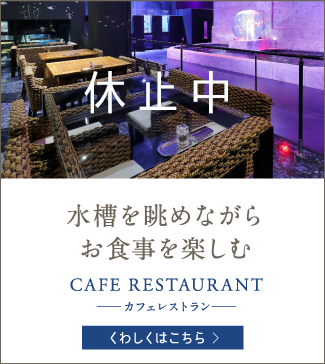 水槽を眺めながらお食事を楽しむ CAFE RESTAURANT -カフェレストラン-