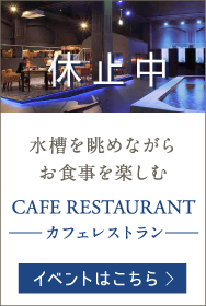 水槽を眺めながらお食事を楽しむ CAFE RESTAURANT -カフェレストラン-